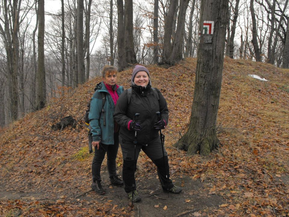 38. Rajd Wzgórz Strzelińskich s002 - PTTK Strzelin