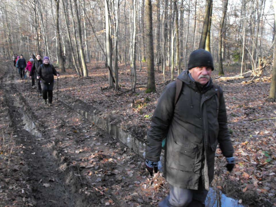 38. Rajd Wzgórz Strzelińskich s002 - PTTK Strzelin