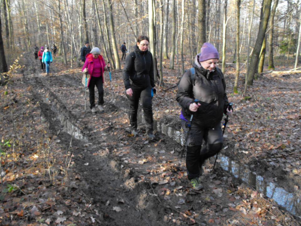 38. Rajd Wzgórz Strzelińskich s002 - PTTK Strzelin