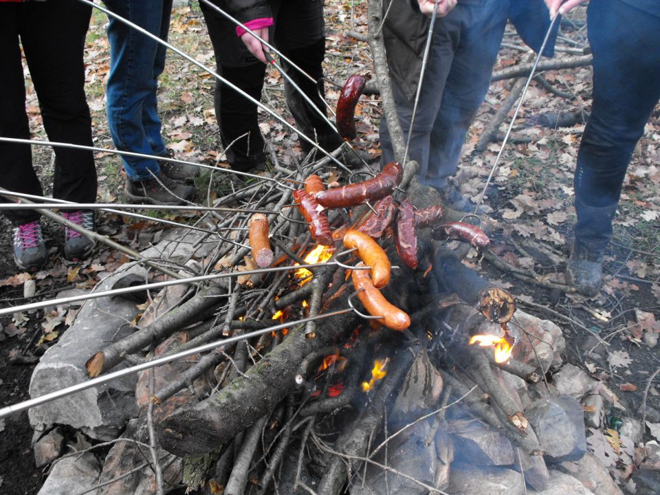 38. Rajd Wzgórz Strzelińskich s002 - PTTK Strzelin