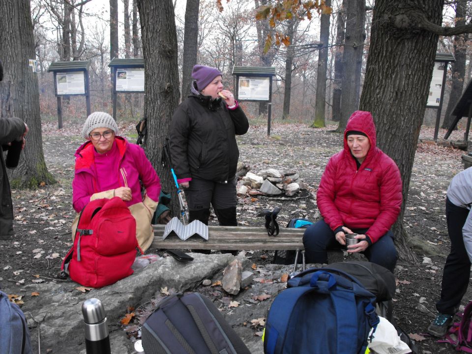 38. Rajd Wzgórz Strzelińskich s002 - PTTK Strzelin