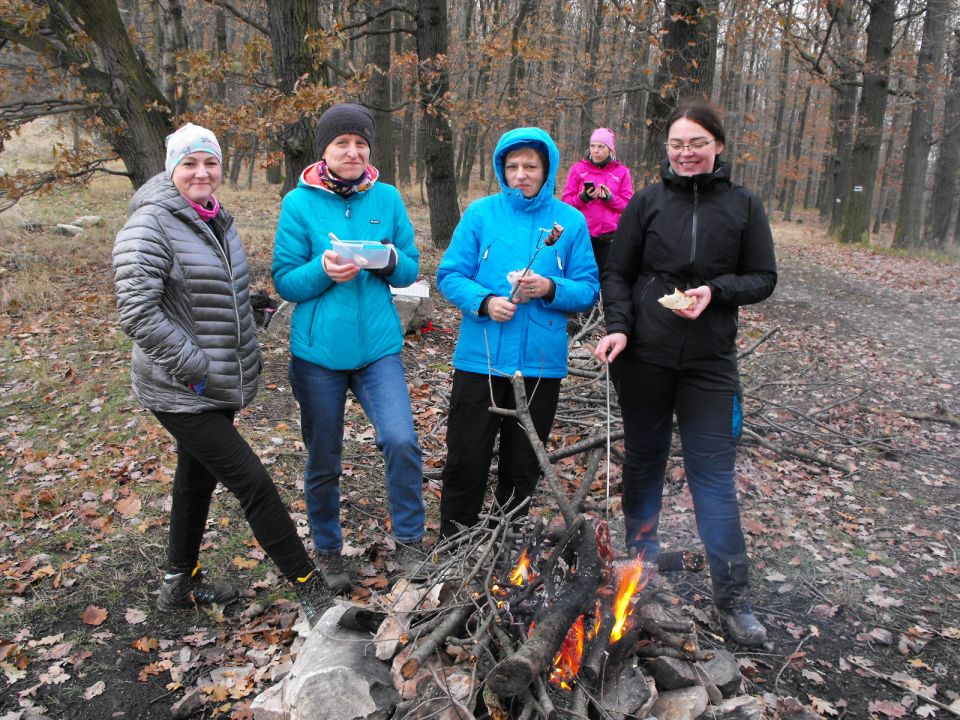 38. Rajd Wzgórz Strzelińskich s002 - PTTK Strzelin