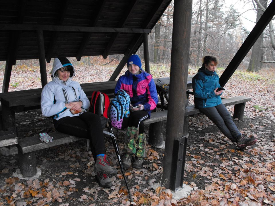 38. Rajd Wzgórz Strzelińskich s002 - PTTK Strzelin