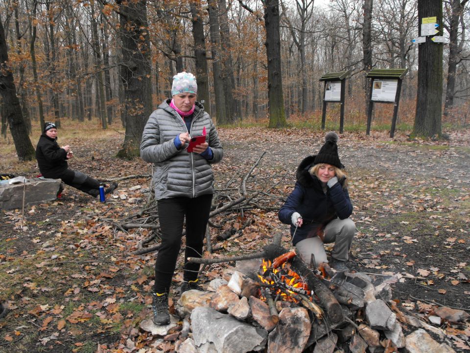 38. Rajd Wzgórz Strzelińskich s002 - PTTK Strzelin