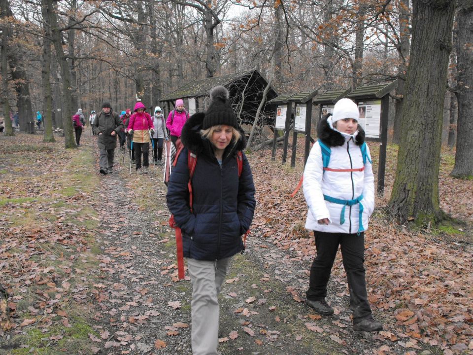 38. Rajd Wzgórz Strzelińskich s002 - PTTK Strzelin