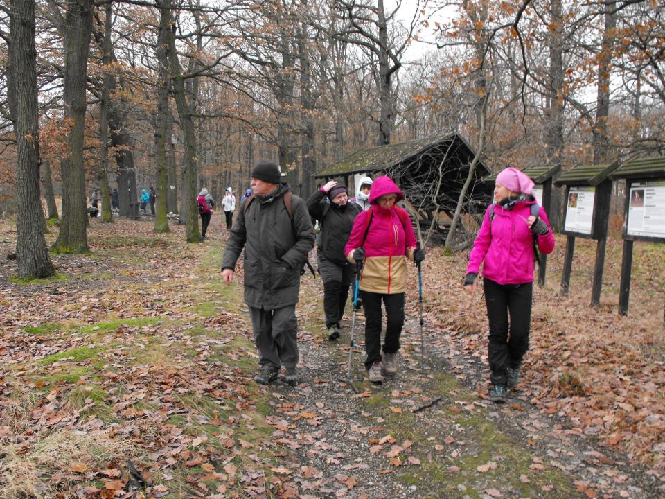 38. Rajd Wzgórz Strzelińskich s002 - PTTK Strzelin