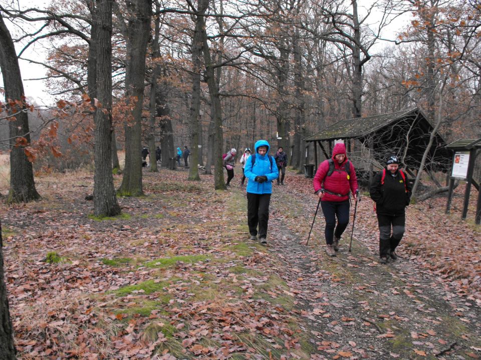 38. Rajd Wzgórz Strzelińskich s002 - PTTK Strzelin