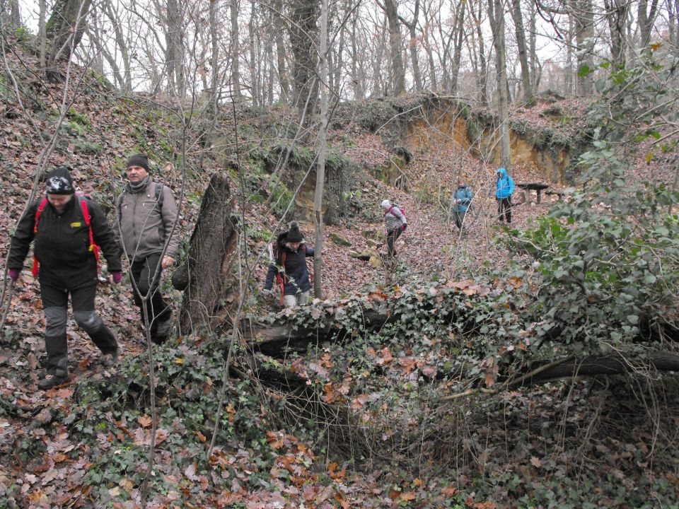 38. Rajd Wzgórz Strzelińskich s002 - PTTK Strzelin