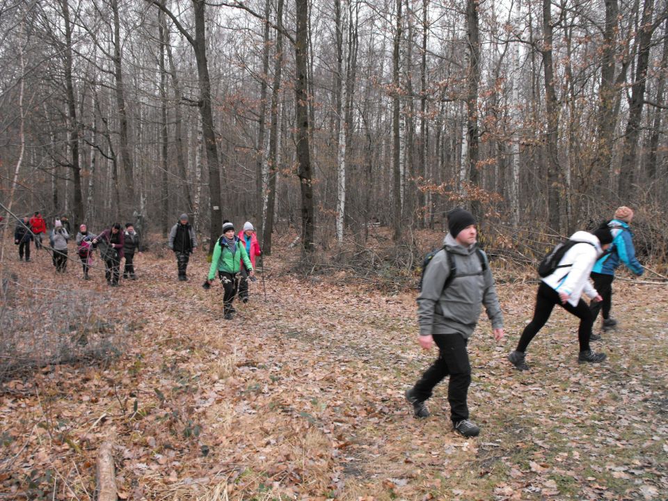 39. Rajd Wzgórz Strzelińskich s002 - PTTK Strzelin