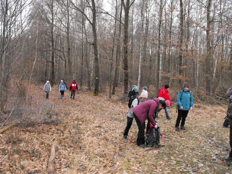 39. Rajd Wzgórz Strzelińskich s002 - PTTK Strzelin