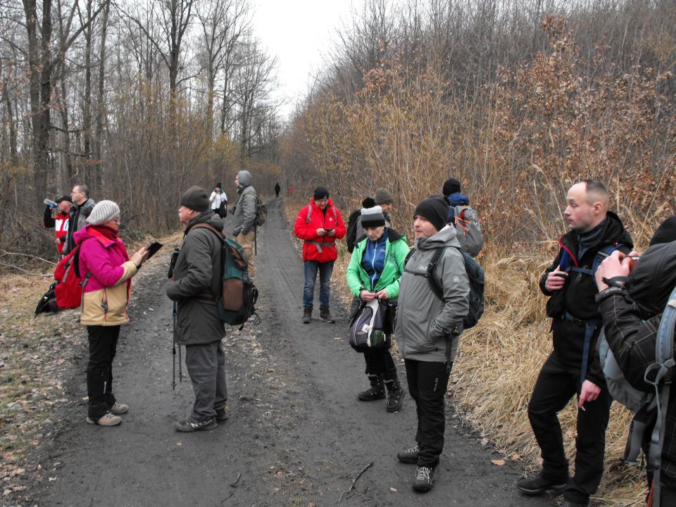 39. Rajd Wzgórz Strzelińskich s002 - PTTK Strzelin