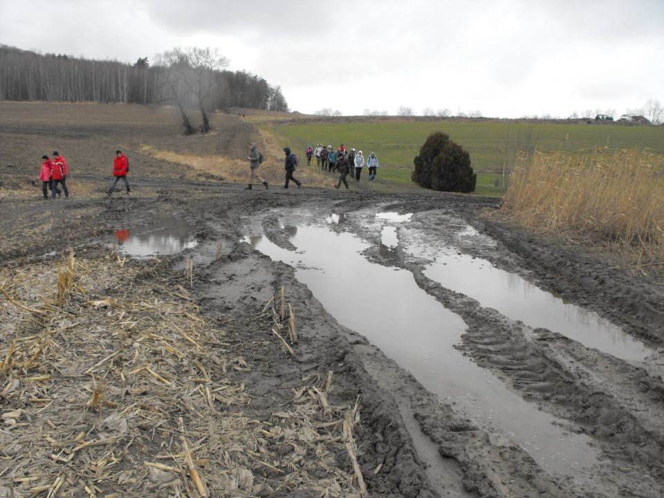 39. Rajd Wzgórz Strzelińskich s002 - PTTK Strzelin