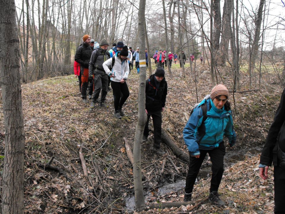 39. Rajd Wzgórz Strzelińskich s002 - PTTK Strzelin