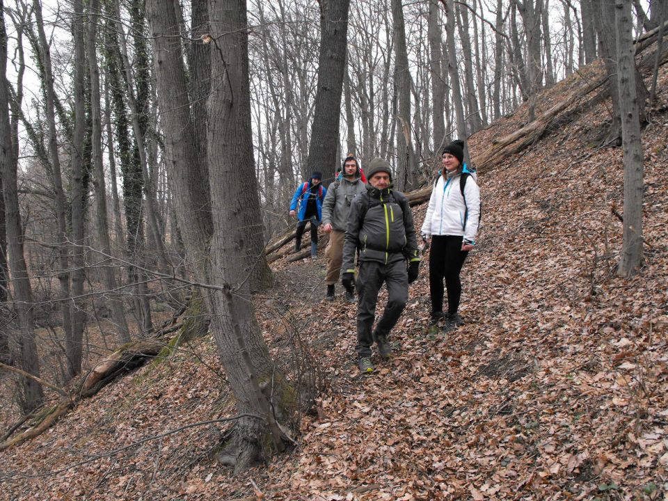 39. Rajd Wzgórz Strzelińskich s002 - PTTK Strzelin