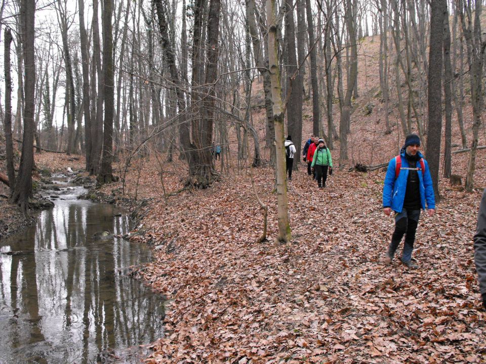 39. Rajd Wzgórz Strzelińskich s002 - PTTK Strzelin
