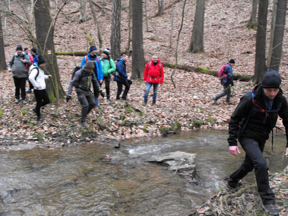39. Rajd Wzgórz Strzelińskich s002 - PTTK Strzelin