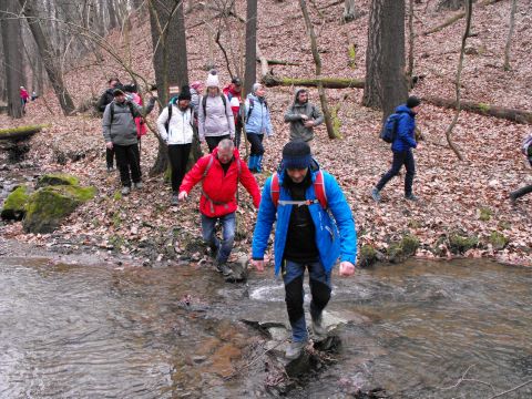 39. Rajd Wzgórz Strzelińskich s58 - PTTK Strzelin