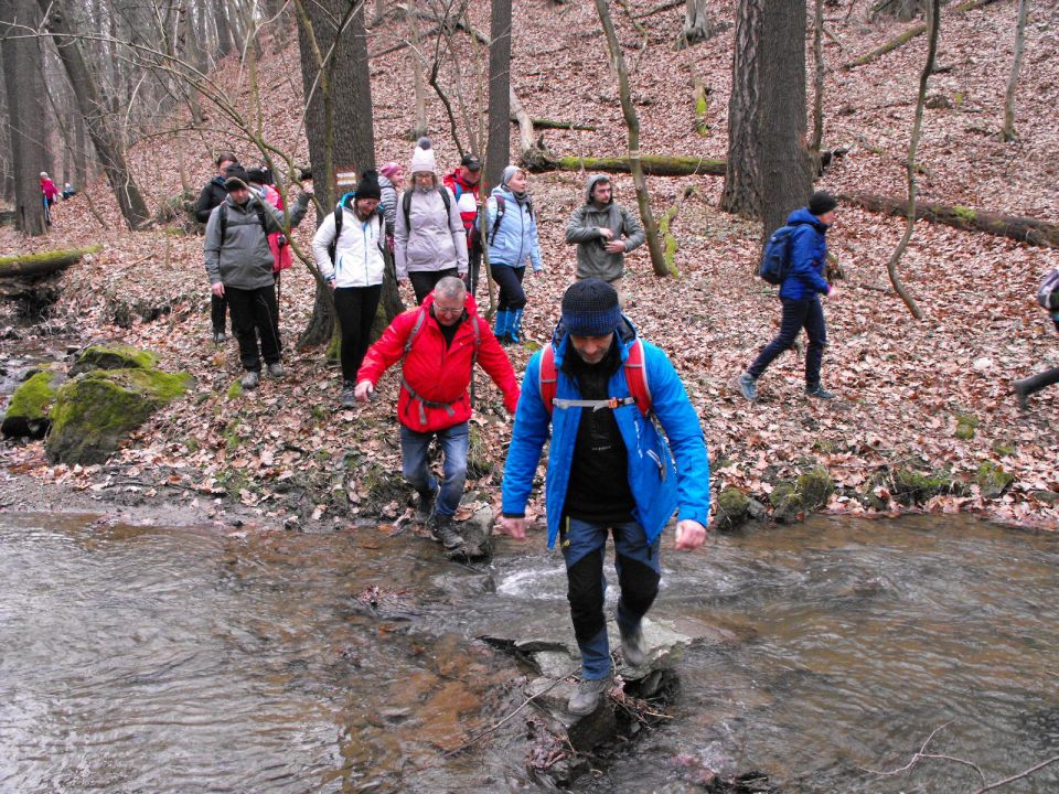 39. Rajd Wzgórz Strzelińskich s002 - PTTK Strzelin