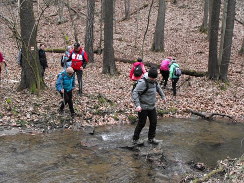 39. Rajd Wzgórz Strzelińskich s60 - PTTK Strzelin