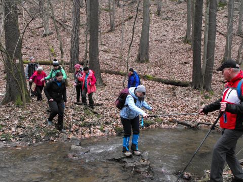 39. Rajd Wzgórz Strzelińskich s61 - PTTK Strzelin