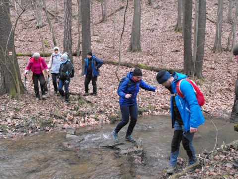39. Rajd Wzgórz Strzelińskich s63 - PTTK Strzelin