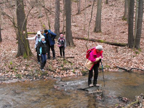 39. Rajd Wzgórz Strzelińskich s64 - PTTK Strzelin