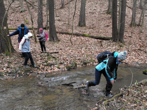 39. Rajd Wzgórz Strzelińskich s65 - PTTK Strzelin