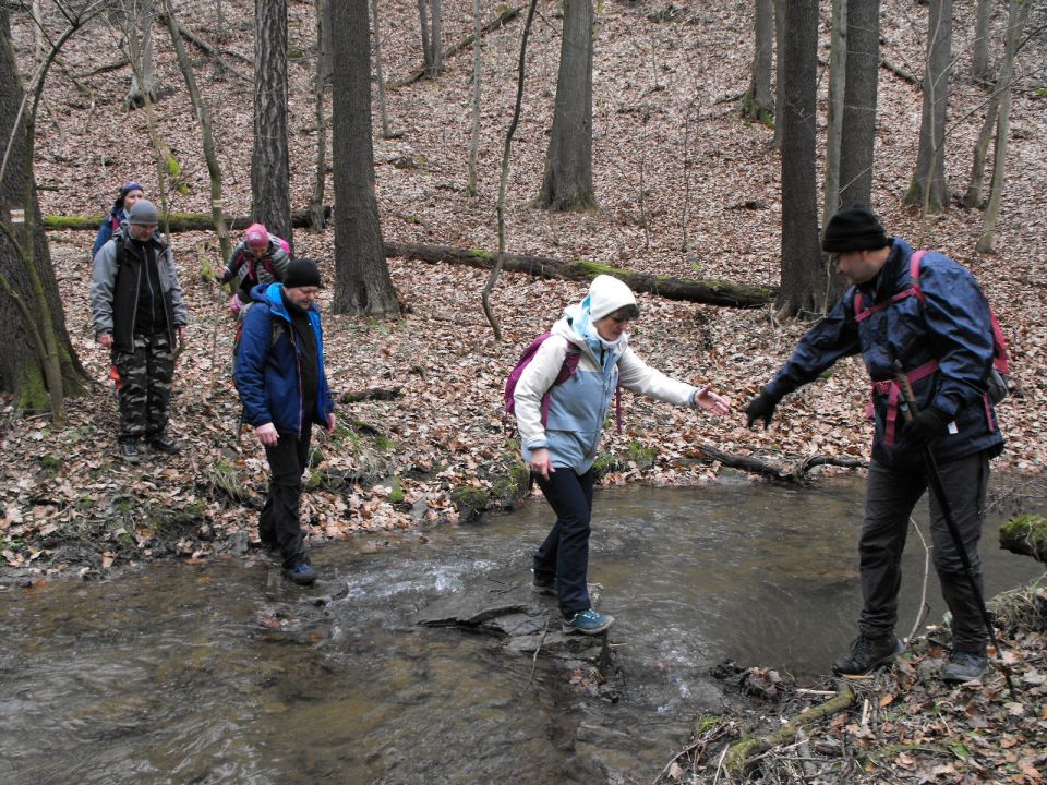 39. Rajd Wzgórz Strzelińskich s002 - PTTK Strzelin