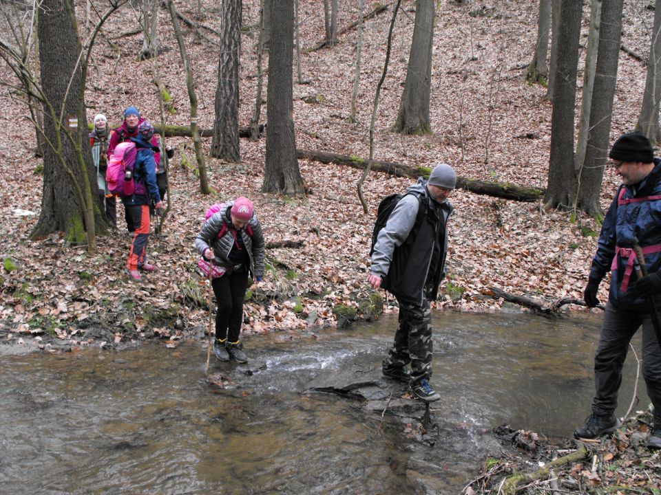 39. Rajd Wzgórz Strzelińskich s002 - PTTK Strzelin
