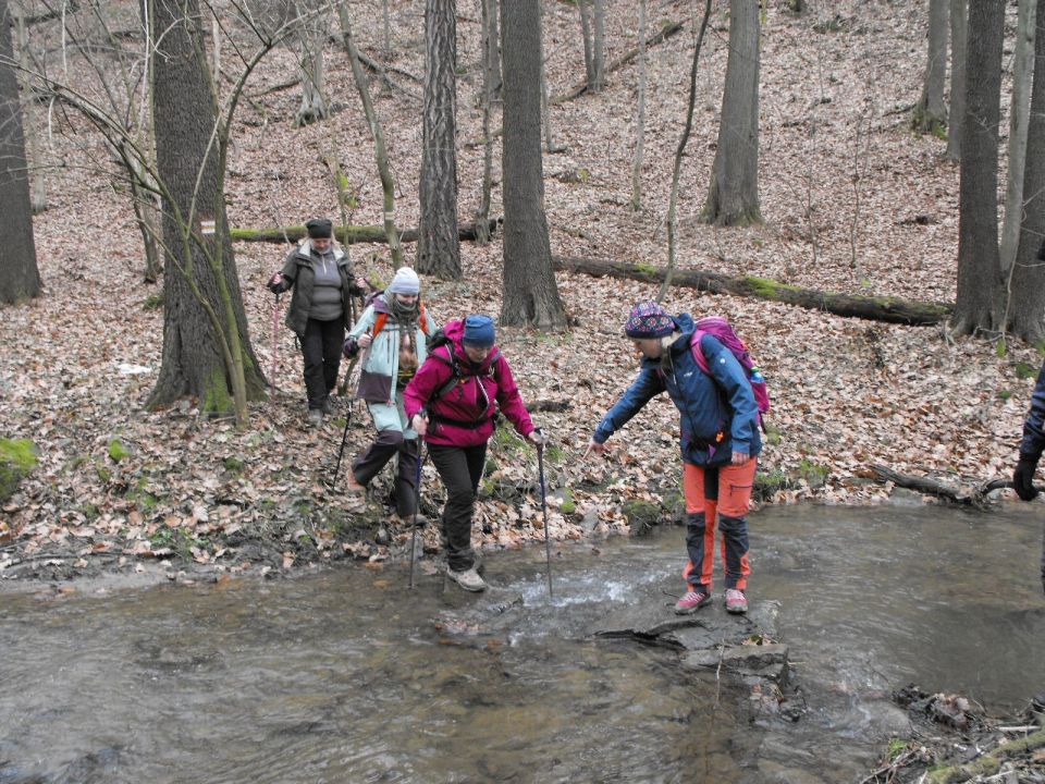 39. Rajd Wzgórz Strzelińskich s002 - PTTK Strzelin