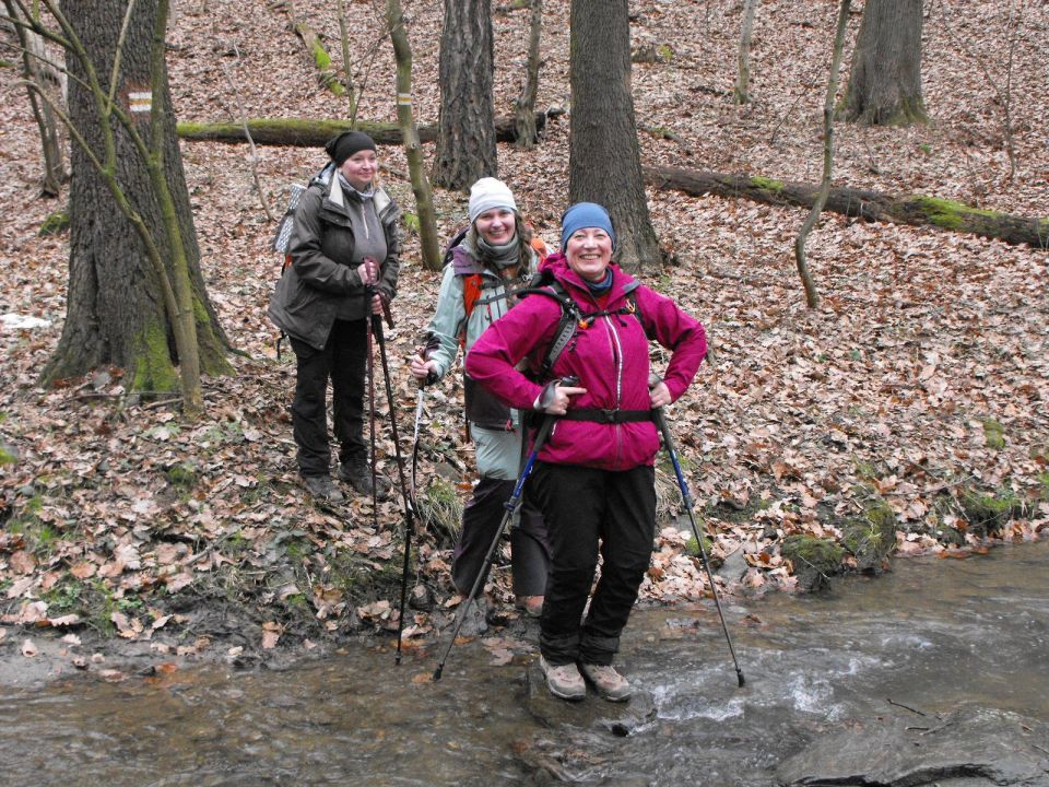 39. Rajd Wzgórz Strzelińskich s002 - PTTK Strzelin