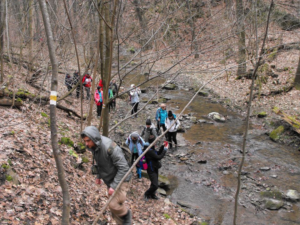39. Rajd Wzgórz Strzelińskich s002 - PTTK Strzelin