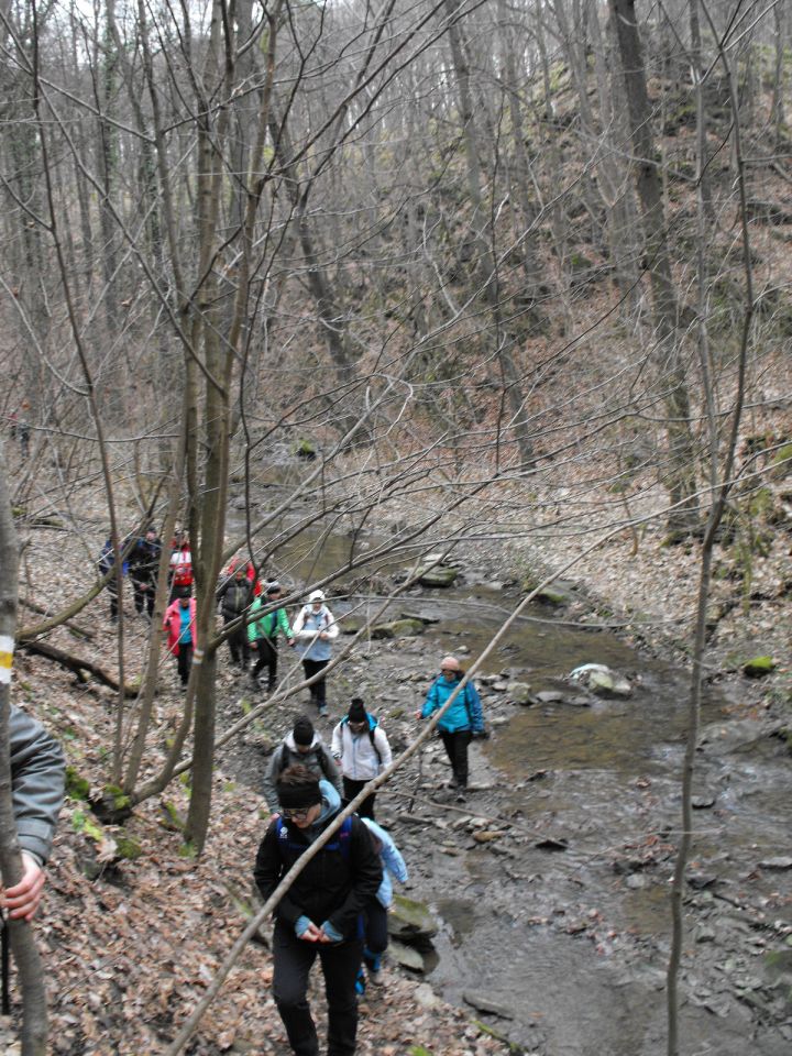 39. Rajd Wzgórz Strzelińskich s002 - PTTK Strzelin