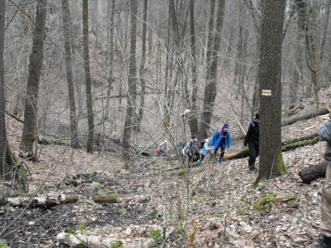 39. Rajd Wzgórz Strzelińskich s73 - PTTK Strzelin
