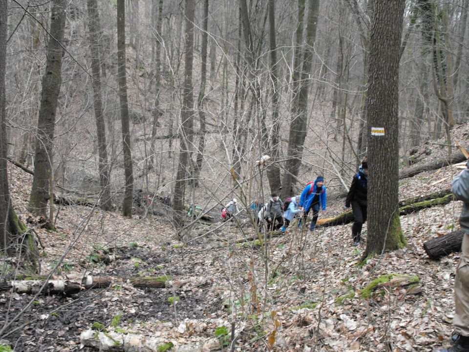 39. Rajd Wzgórz Strzelińskich s002 - PTTK Strzelin