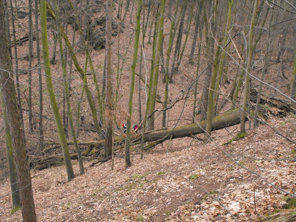 39. Rajd Wzgórz Strzelińskich s002 - PTTK Strzelin