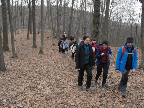 39. Rajd Wzgórz Strzelińskich s77 - PTTK Strzelin