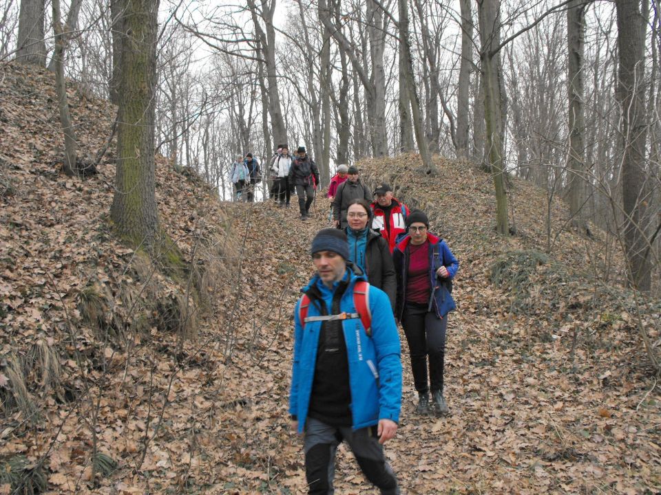 39. Rajd Wzgórz Strzelińskich s002 - PTTK Strzelin
