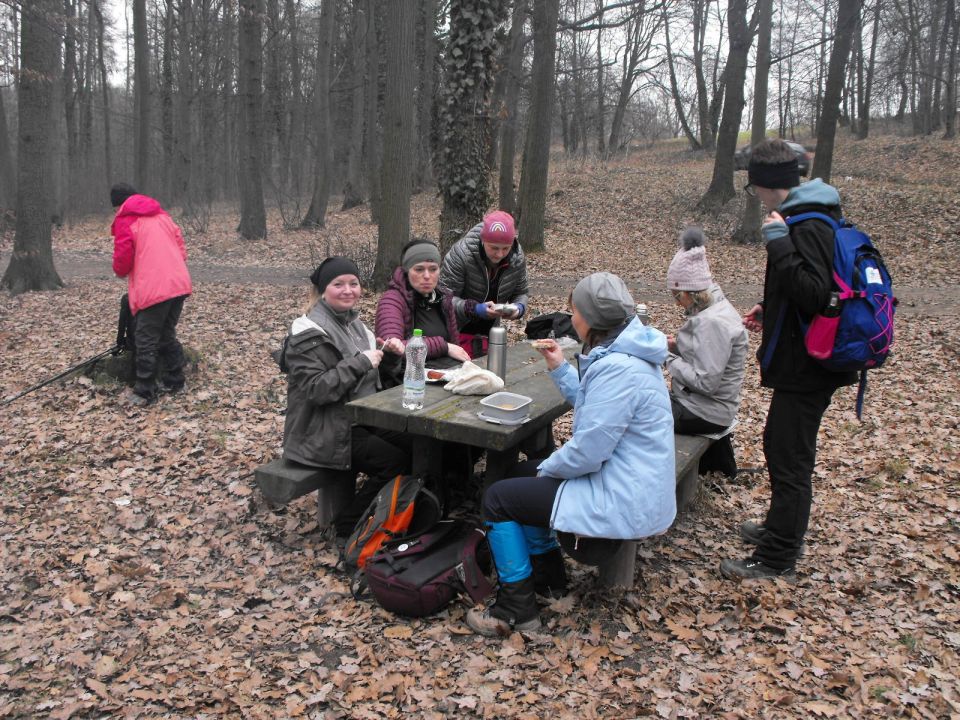39. Rajd Wzgórz Strzelińskich s002 - PTTK Strzelin