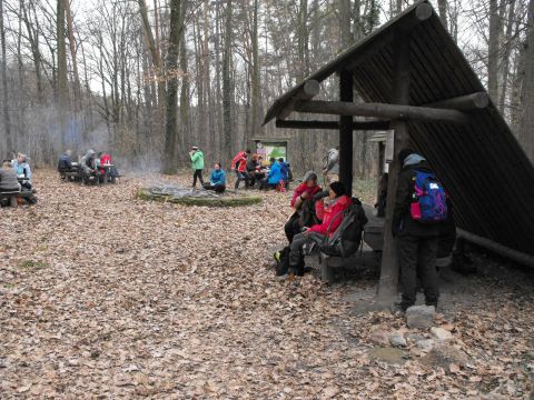 39. Rajd Wzgórz Strzelińskich s89 - PTTK Strzelin