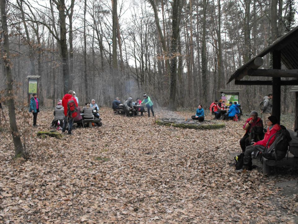 39. Rajd Wzgórz Strzelińskich s002 - PTTK Strzelin