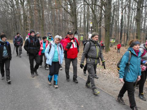 39. Rajd Wzgórz Strzelińskich s91 - PTTK Strzelin