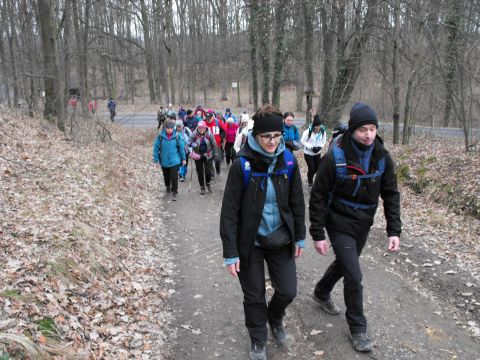 39. Rajd Wzgórz Strzelińskich s92 - PTTK Strzelin