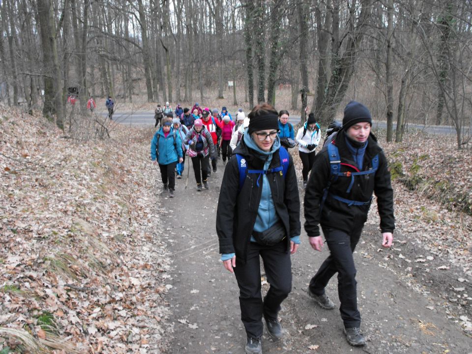 39. Rajd Wzgórz Strzelińskich s002 - PTTK Strzelin