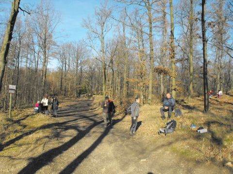 39. Rajd Wzgórz Strzelińskich s41 - PTTK Strzelin