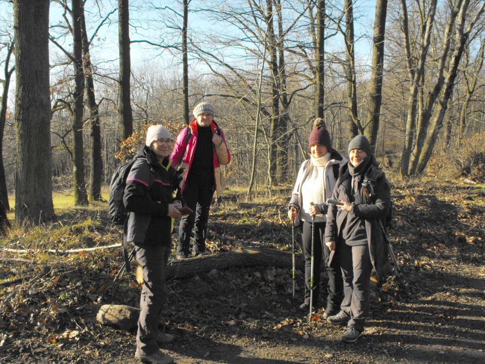 39. Rajd Wzgórz Strzelińskich s002 - PTTK Strzelin