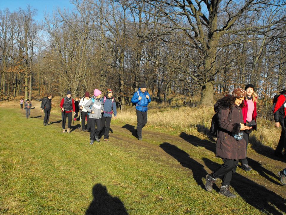 39. Rajd Wzgórz Strzelińskich s002 - PTTK Strzelin