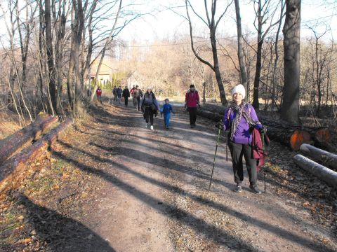 39. Rajd Wzgórz Strzelińskich s51 - PTTK Strzelin