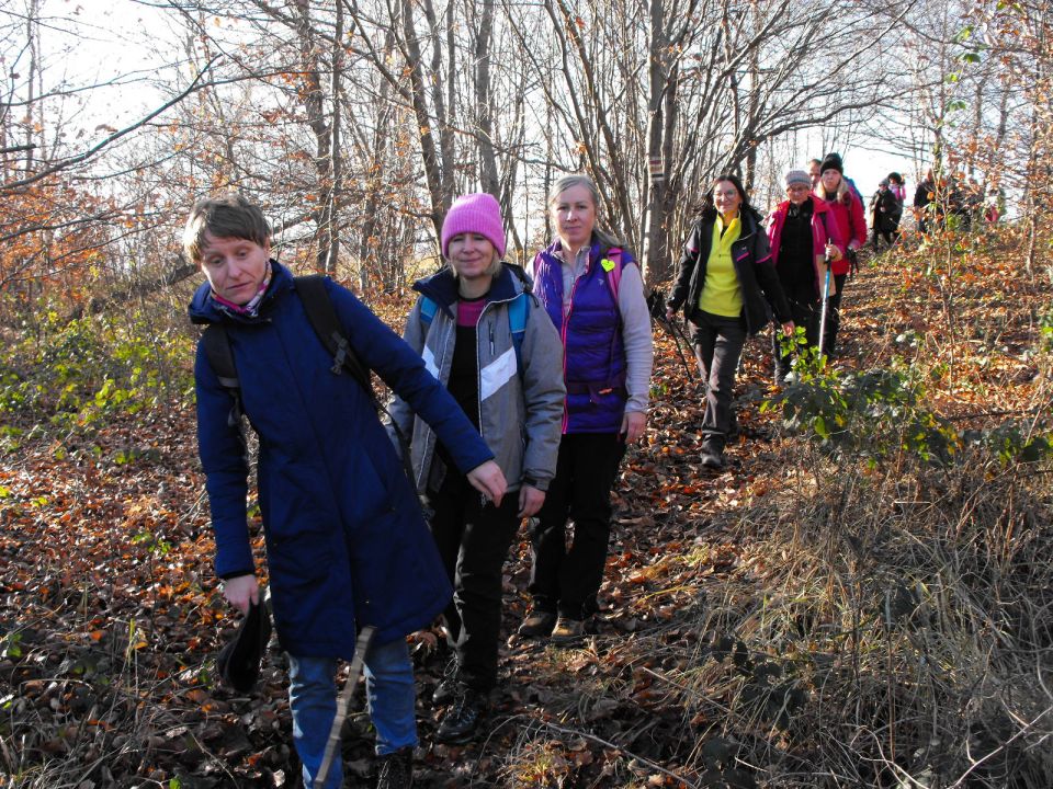 39. Rajd Wzgórz Strzelińskich s002 - PTTK Strzelin