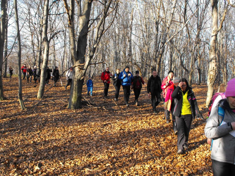 39. Rajd Wzgórz Strzelińskich s002 - PTTK Strzelin